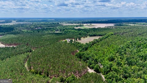 Photo of 0 Neily Wagon Road, McRae-Helena, GA 31055 (MLS # 10763783)