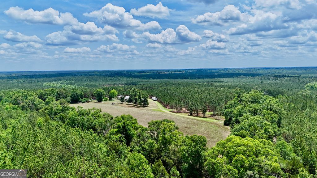 Photo of 0 Neily Wagon Road, Mc Rae Helena, GA 31055 (MLS # 10763783)