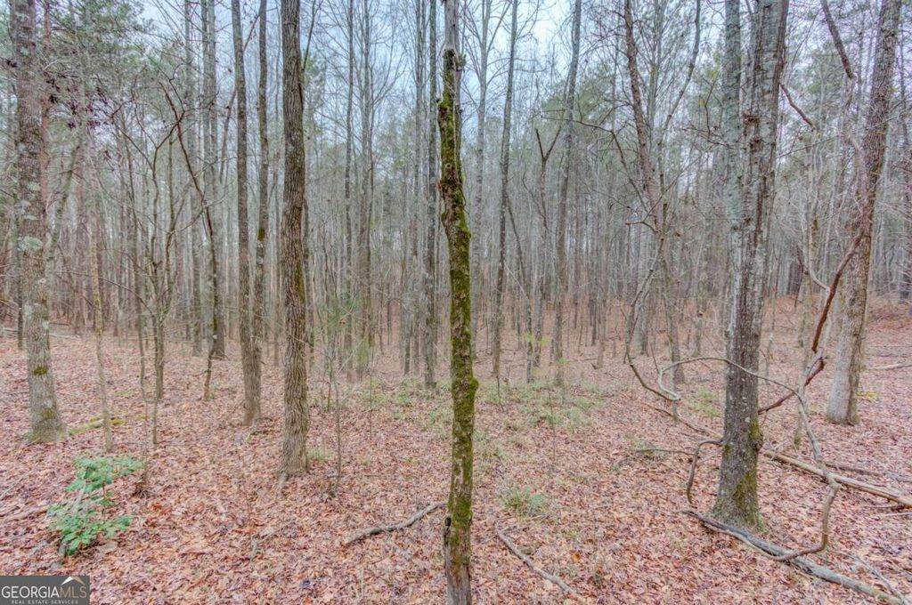 Photo of 0 Sunshine Road, Toccoa, GA 30577 (MLS # 10704546)