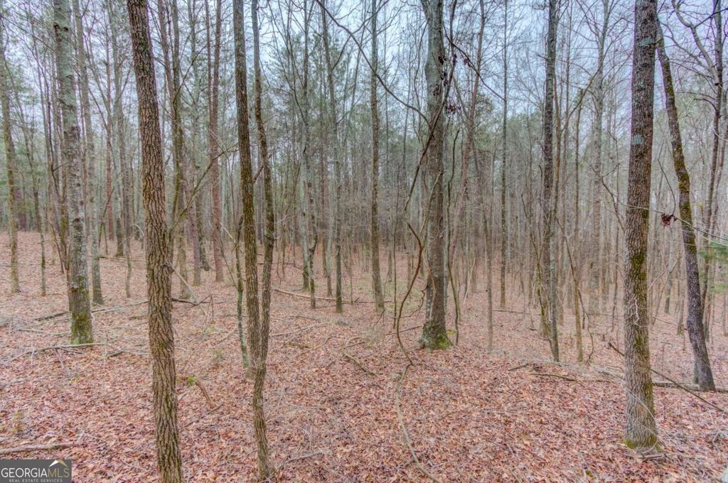 Photo of 0 Sunshine Road, Toccoa, GA 30577 (MLS # 10704546)