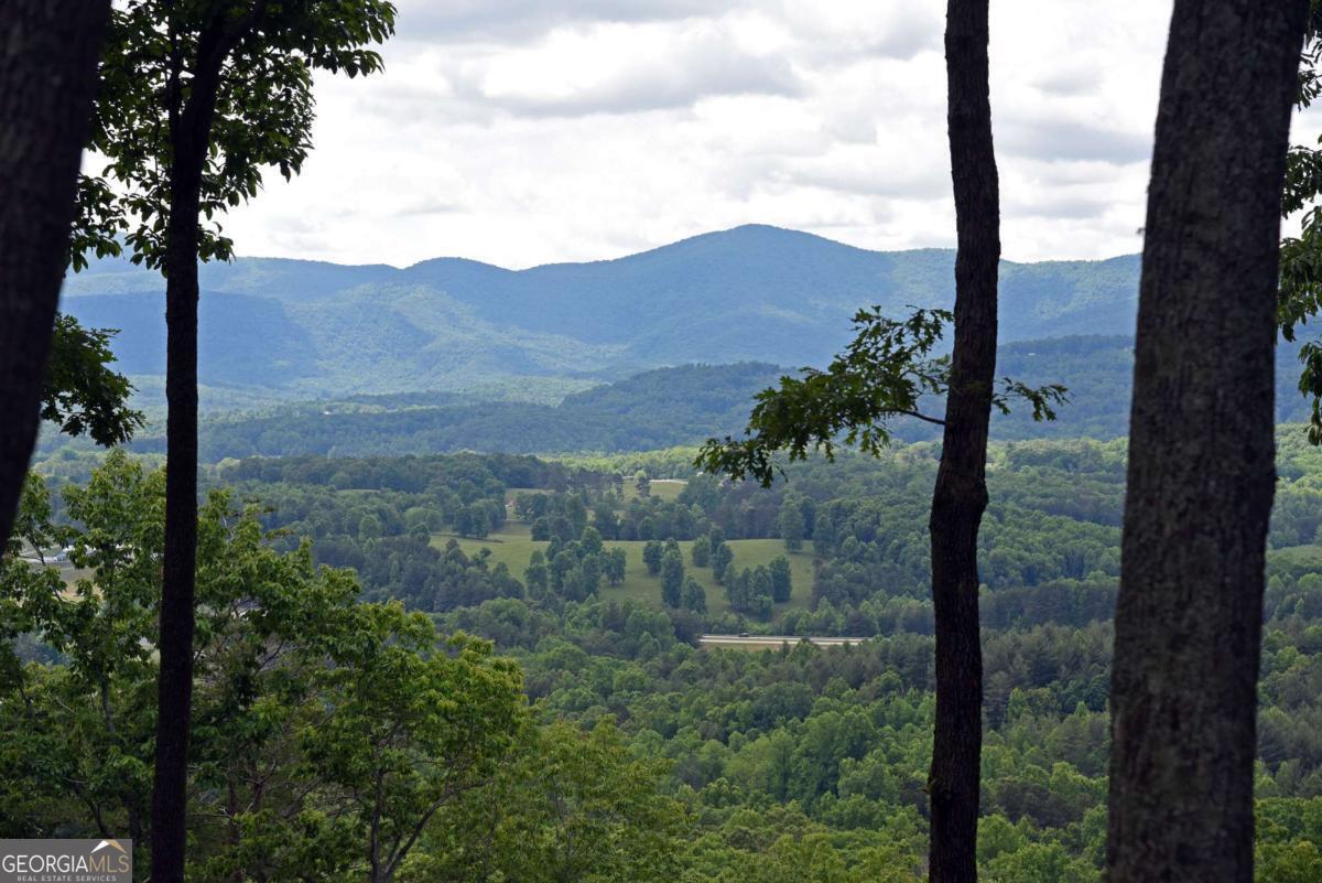 Are you looking for a LOT with AMAZING LONG RANGE MOUNTAIN VIEWS with LAKE NOTTELY ACCESS? You found it! Enter two secure gates to arrive at your BEAUTIFUL Lot! Highland Park has First Class Amenities including a Clubhouse with an Outdoor Fireplace, Kitchen, Theater Room, Boat Slips and a Infinity Pool Overlooking Lake Nottely. Only minutes to Downtown Blairsville for shopping, restaurants and hospital. Call me today before this Lot is gone!
