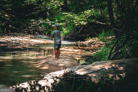 0 County Line RD Talbotton GA 31827