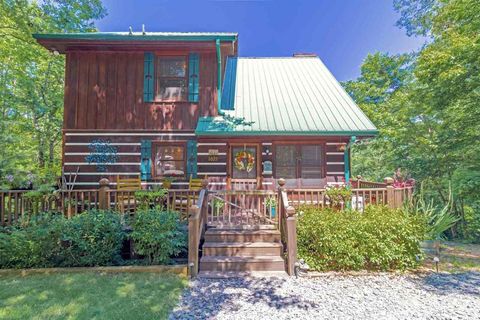 A home in Mineral Bluff