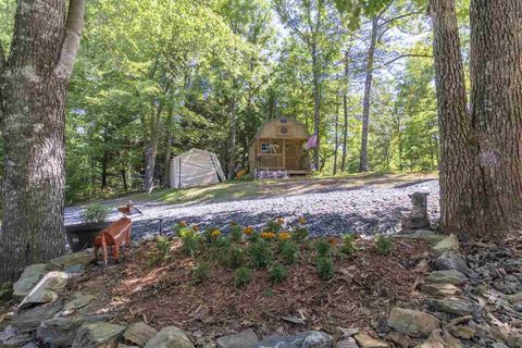 A home in Mineral Bluff