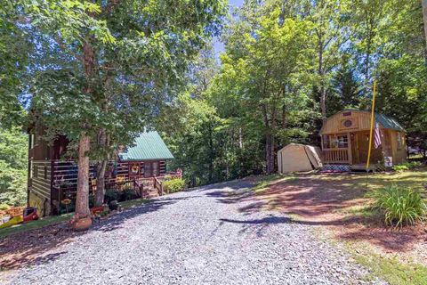 A home in Mineral Bluff