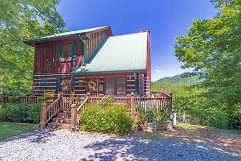 A home in Mineral Bluff