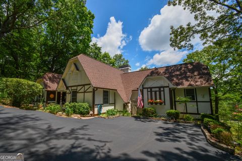 Single Family Residence in Helen GA 162 Zeppelin Strasse.jpg