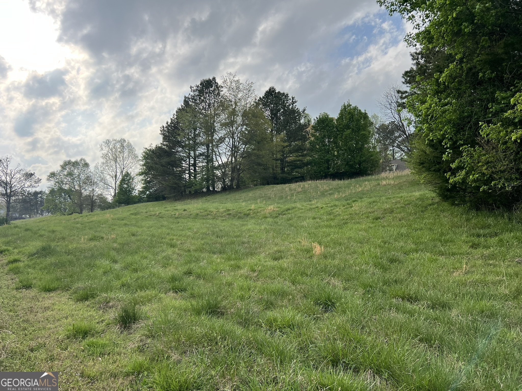 Arbor Hill Rd. Area (Rur) - Land