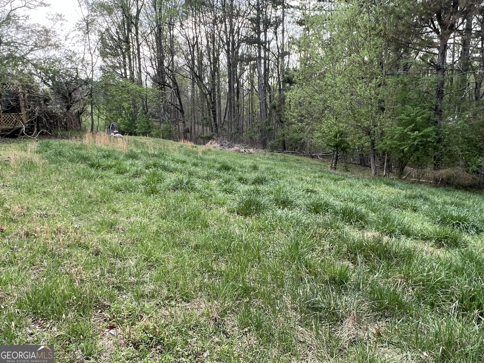 Arbor Hill Rd. Area (Rur) - Land