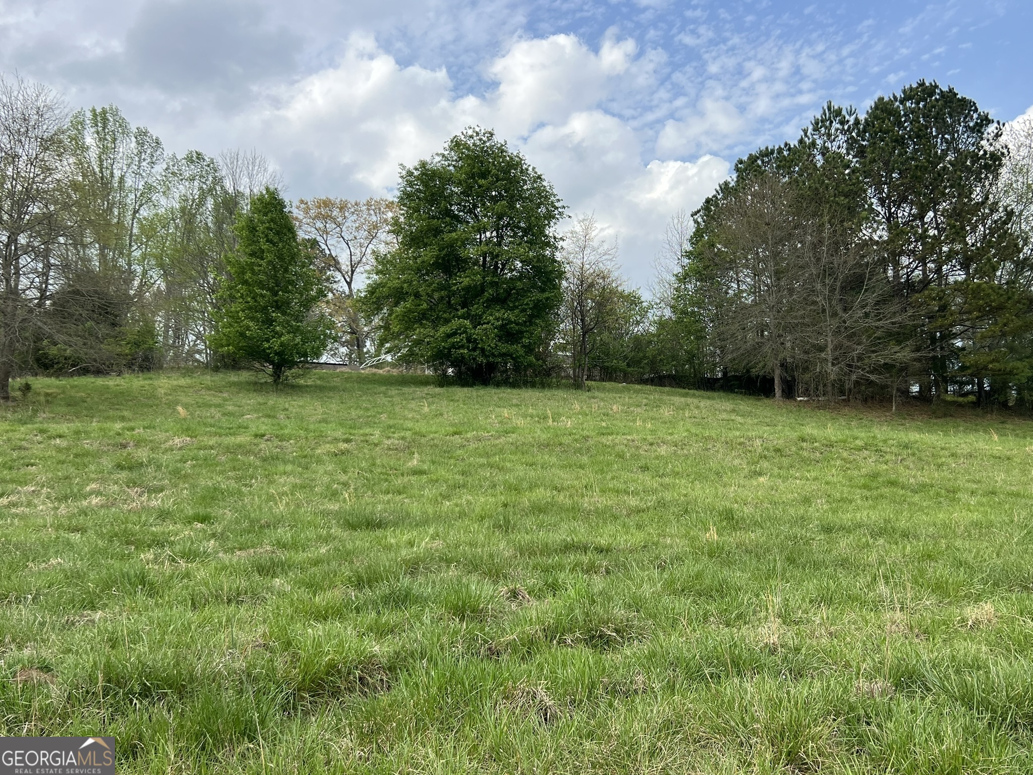 Arbor Hill Rd. Area (Rur) - Land