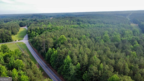 Photo of 0 Highway 145, Eastanollee, GA 30538 (MLS # 10780248)
