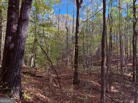 Photo of 1001 Whooping Creek Road, Carrollton, GA 30116 (MLS # 10629872) Photo of 1001 Whooping Creek Road, Carrollton, GA 30116 (MLS # 10629872)