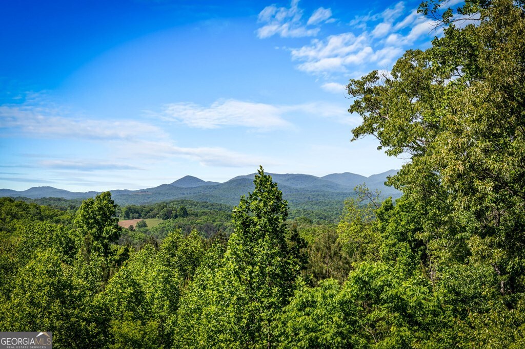 479 Big Timber RD