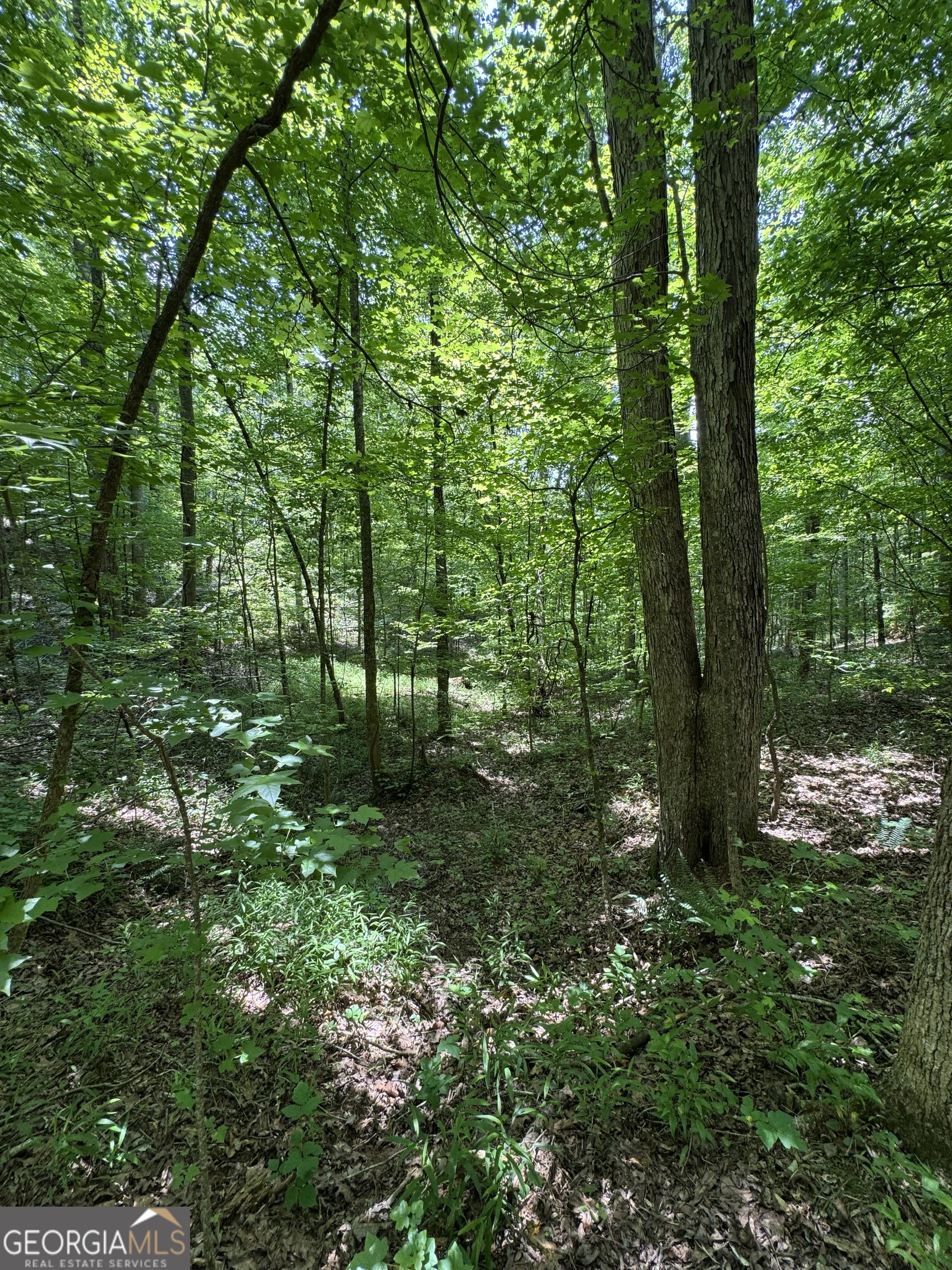 0 Long Branch RD