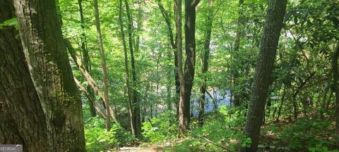 0 Ber Weg Helen GA 30545