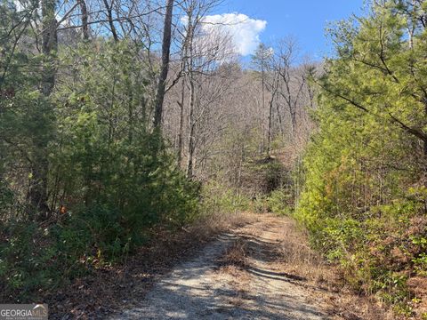 0 Shadow Mountain DR 32 Dillard GA 30537