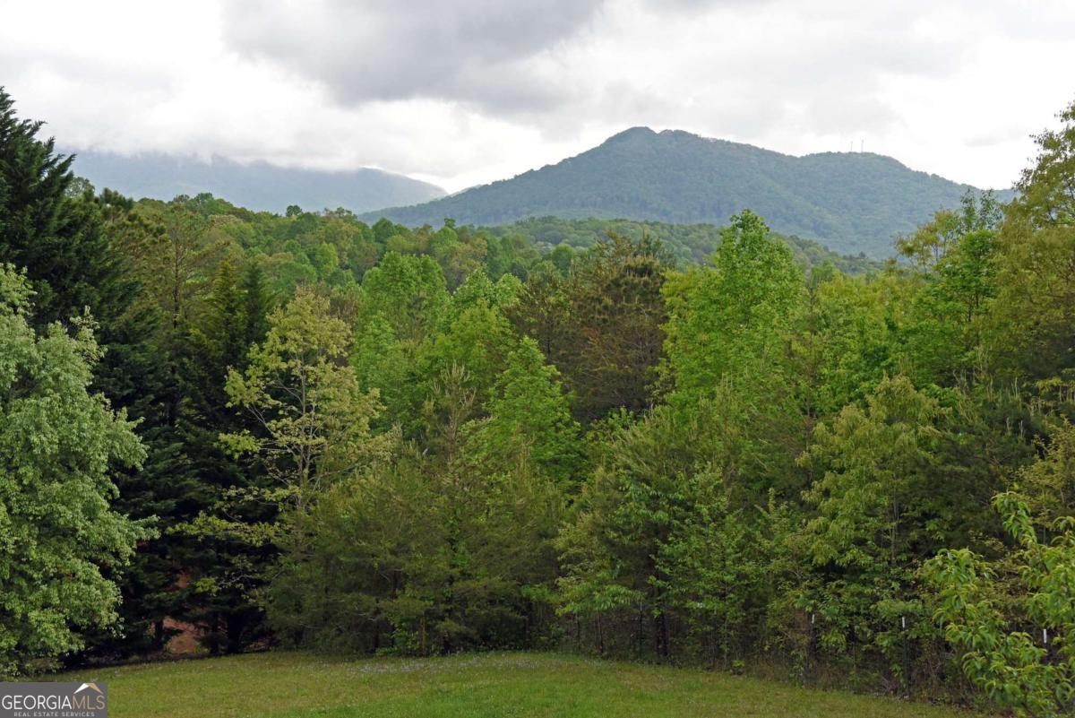 557 Hidden Pines CT