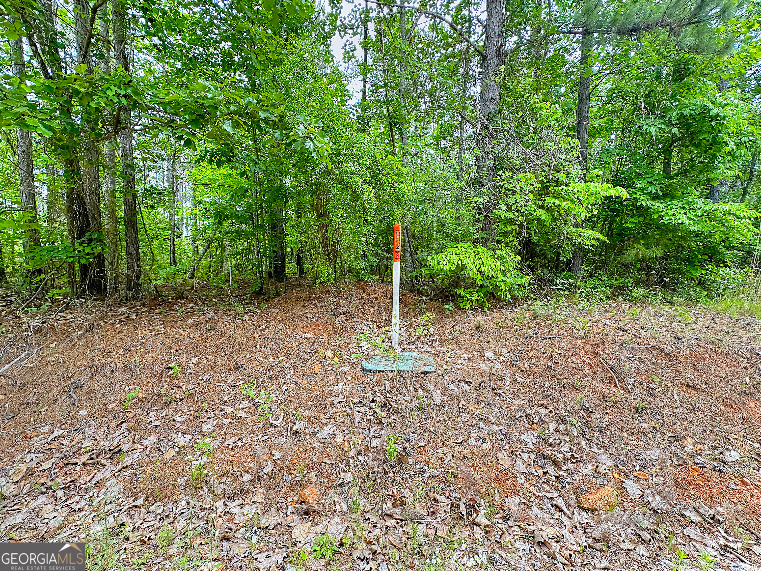 0 Rollin Mill TRACT 6