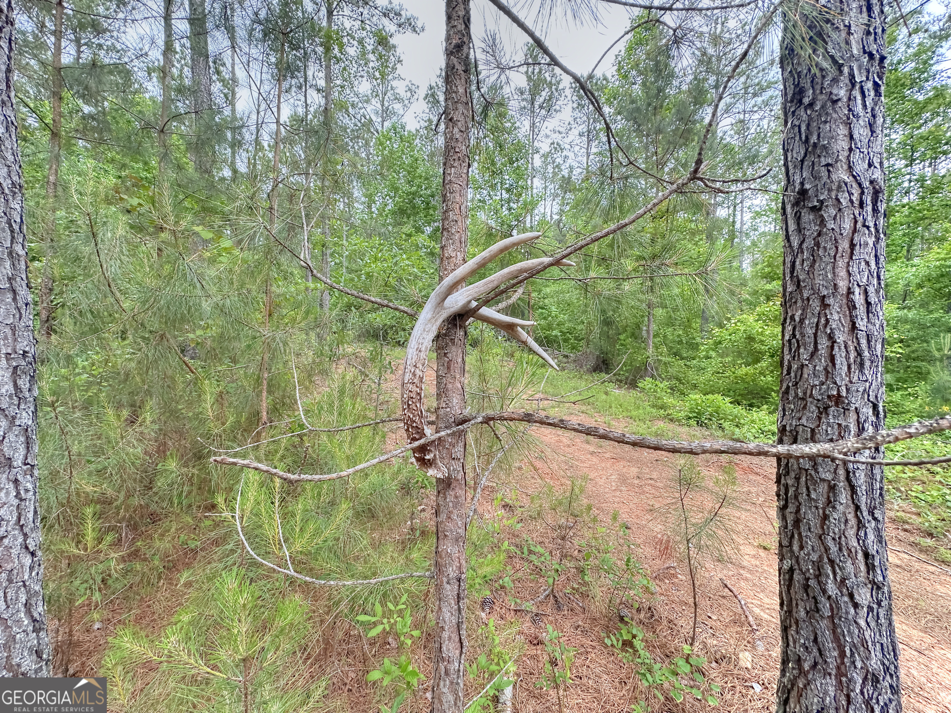 0 Rollin Mill TRACT 6