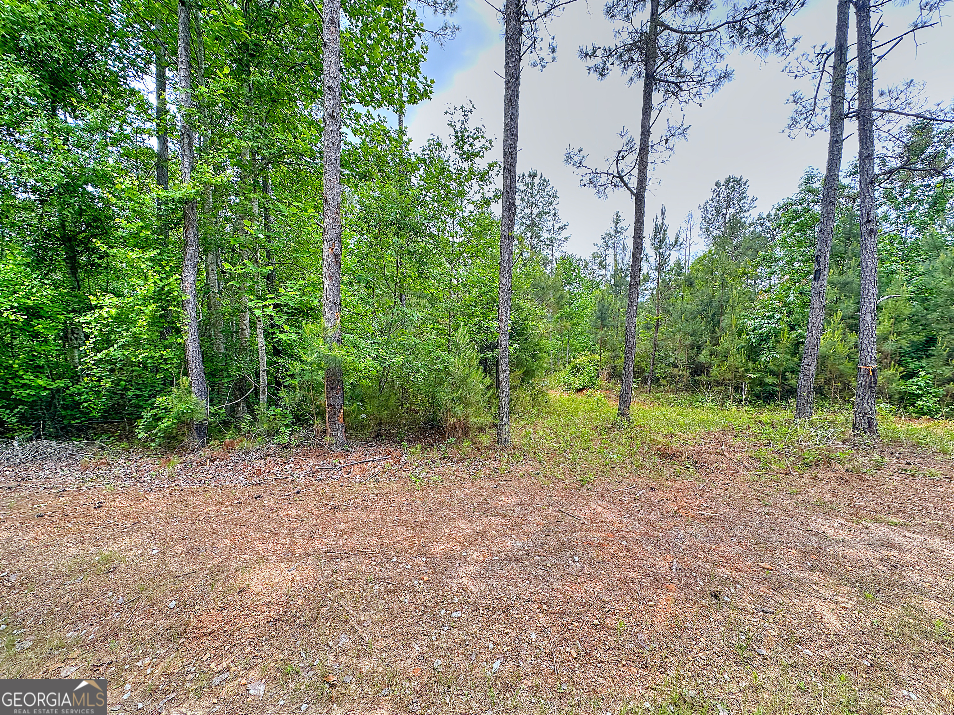 0 Rollin Mill TRACT 6