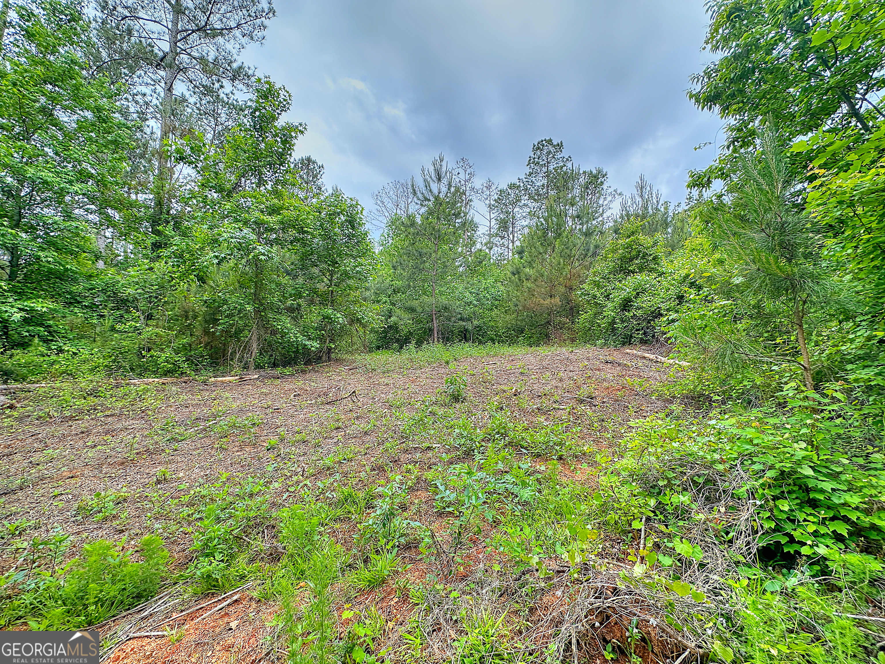 0 Rollin Mill TRACT 6