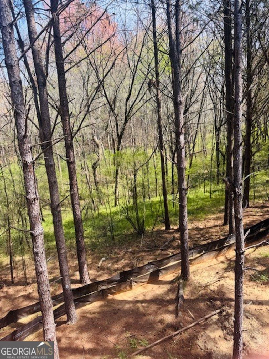 Photo of 3279 tommy dillard, monroe, GA 30656 (MLS # 10720189)