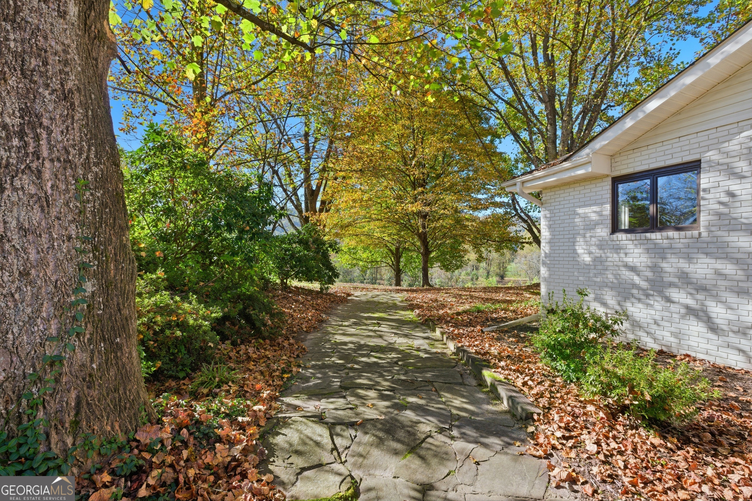 Rabun Gap, Georgia 30568, United States, 4 Bedrooms Bedrooms, ,3 BathroomsBathrooms,Residential,Active,253303