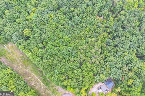 349 Turner Ridge DR Cleveland GA 30528