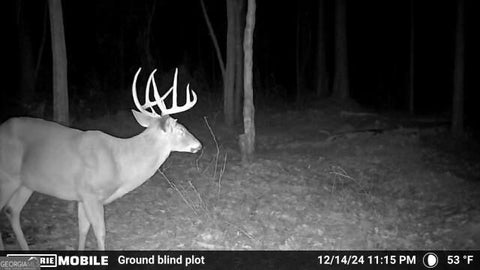 Photo of 0 Sam Bradley, Americus, GA 31709 (MLS # 10869062)