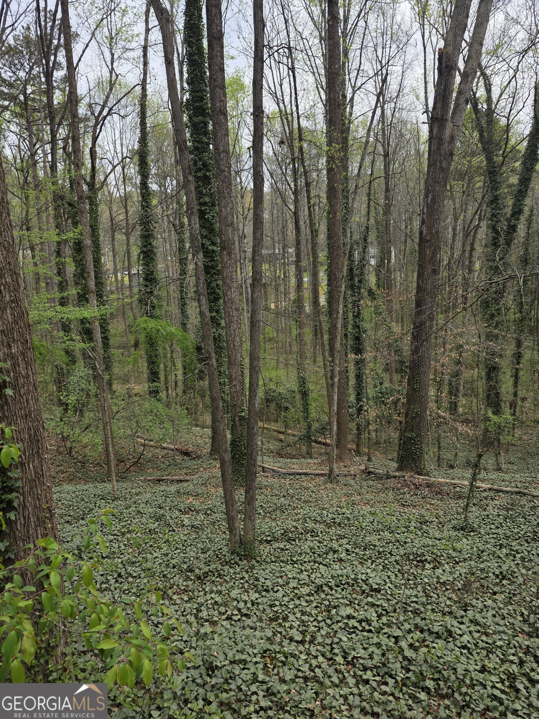 109 Creek Hollow DR