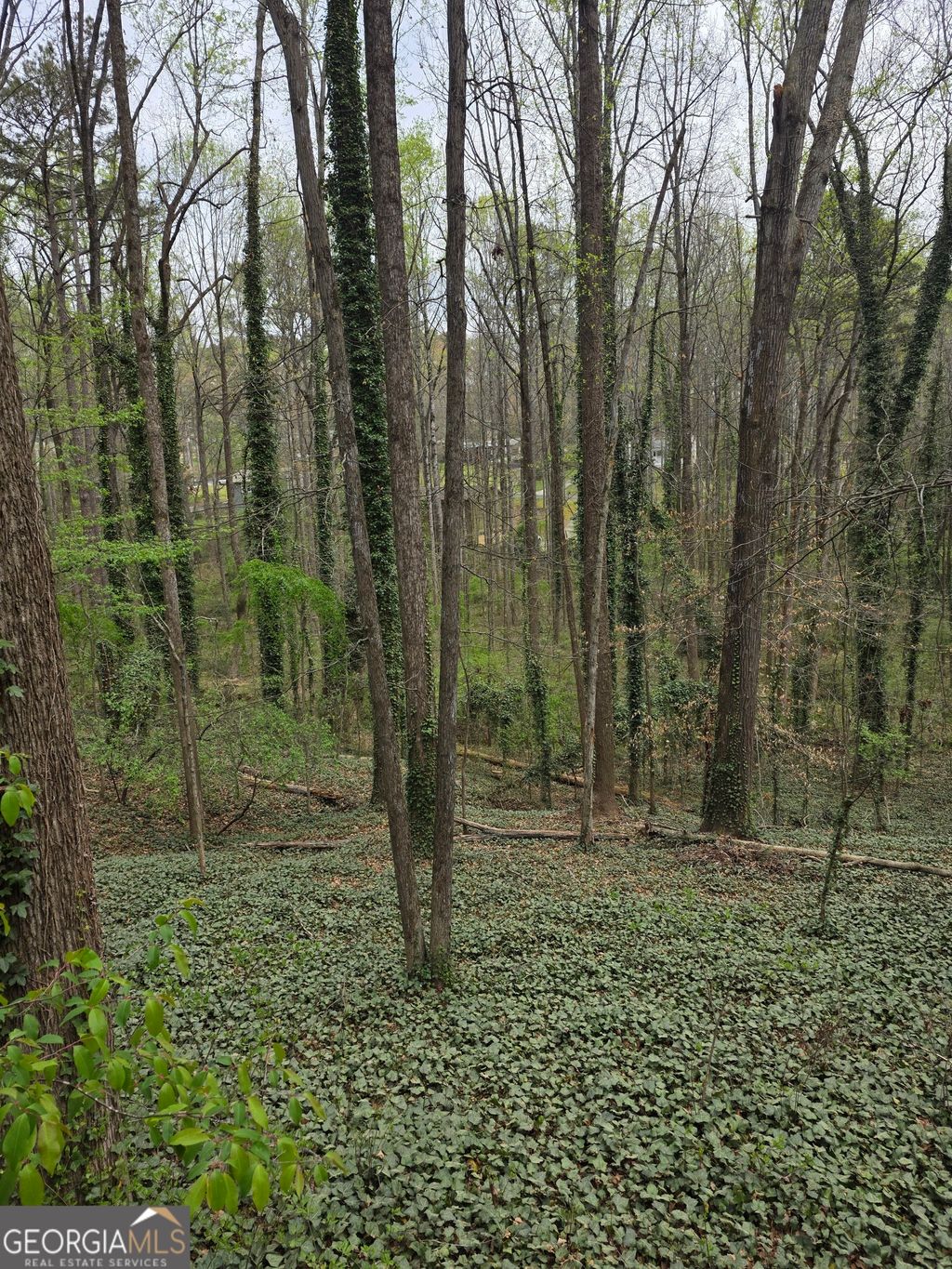 Photo of 109 Creek Hollow Drive, Woodstock, GA 30188 (MLS # 10728884)