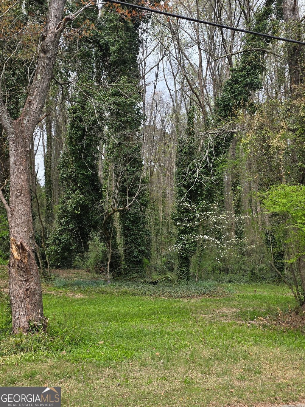 Photo of 109 Creek Hollow Drive, Woodstock, GA 30188 (MLS # 10728884)
