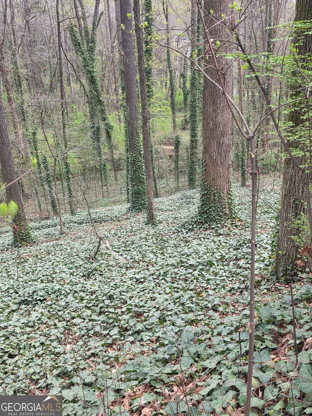 Photo of 109 Creek Hollow Drive, Woodstock, GA 30188 (MLS # 10728884)