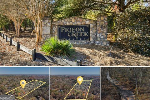 29 Pigeon Creek DR Dawsonville GA 30534