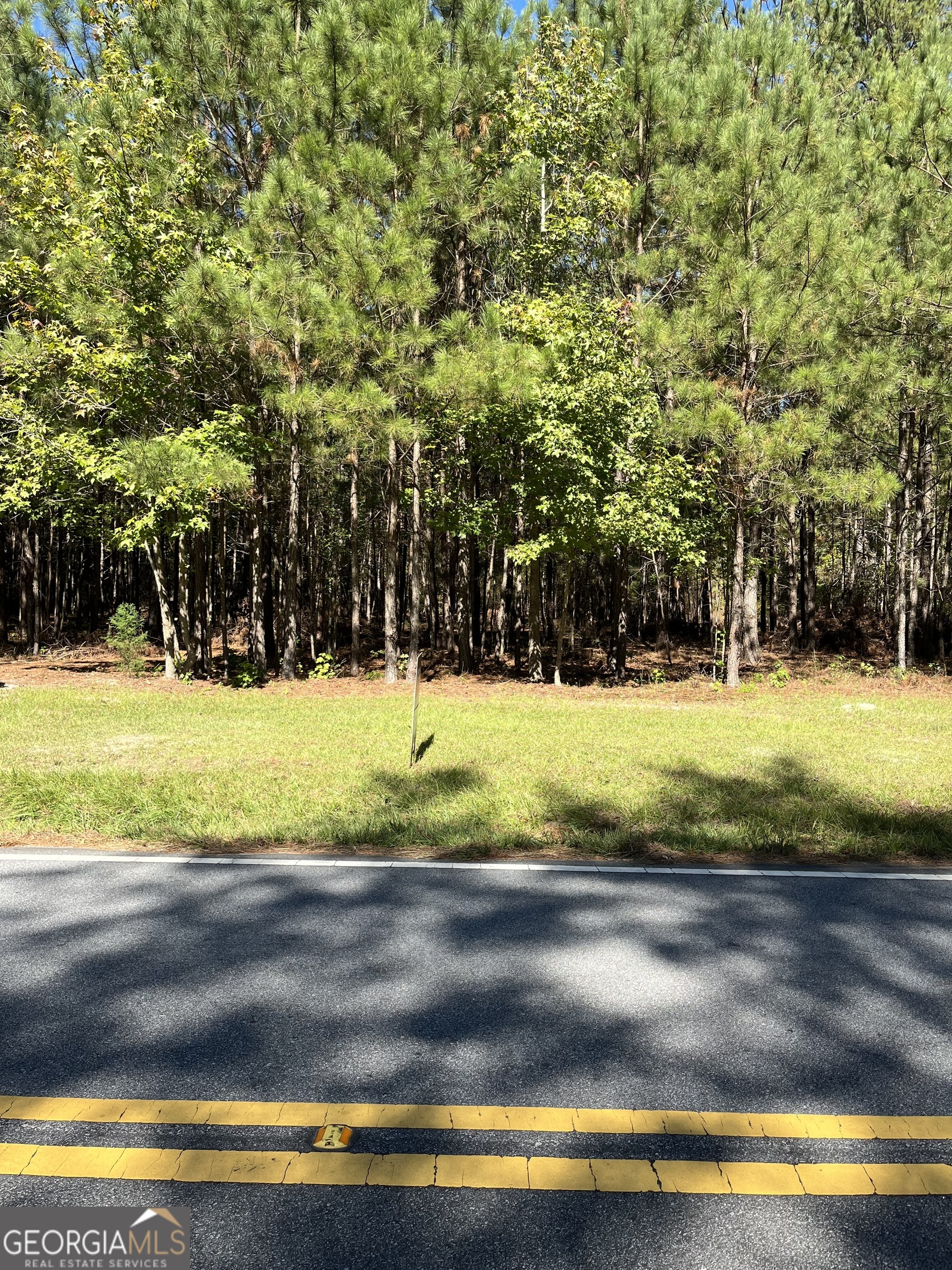 Sharpsburg, Georgia 30277, United States, ,Land,Pending,38248