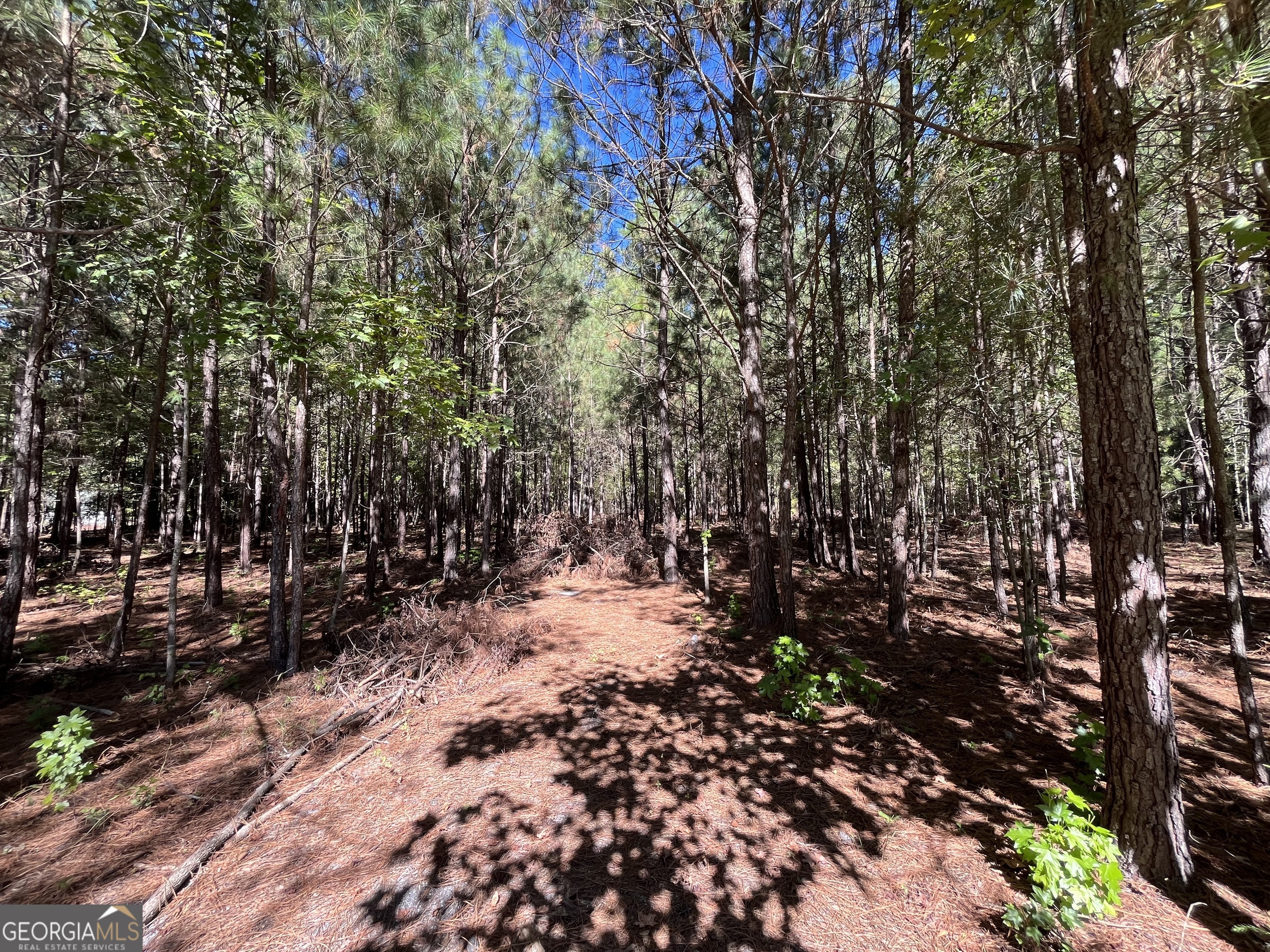 Sharpsburg, Georgia 30277, United States, ,Land,Pending,38248 Sharpsburg, Georgia 30277, United States, ,Land,Pending,38248