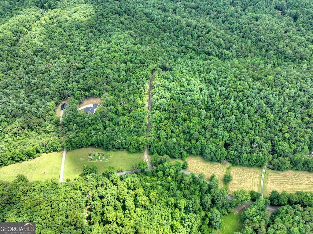 1696 Rocky Top RD