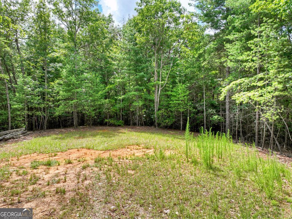 1696 Rocky Top RD