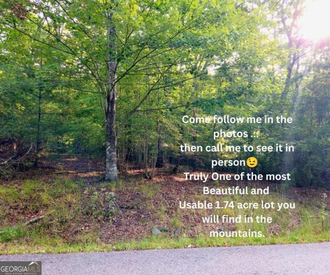 LOT 5 LOLA MAE WAY # 5, MORGANTON, GA 30560 - Image 082e2152e16c2b97698a4ef6a3f80513/1610505993