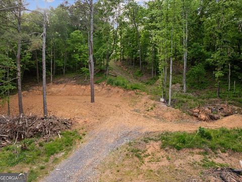 Photo of 307 Moores Ferry Road SW, Plainville, GA 30733 (MLS # 10753451)