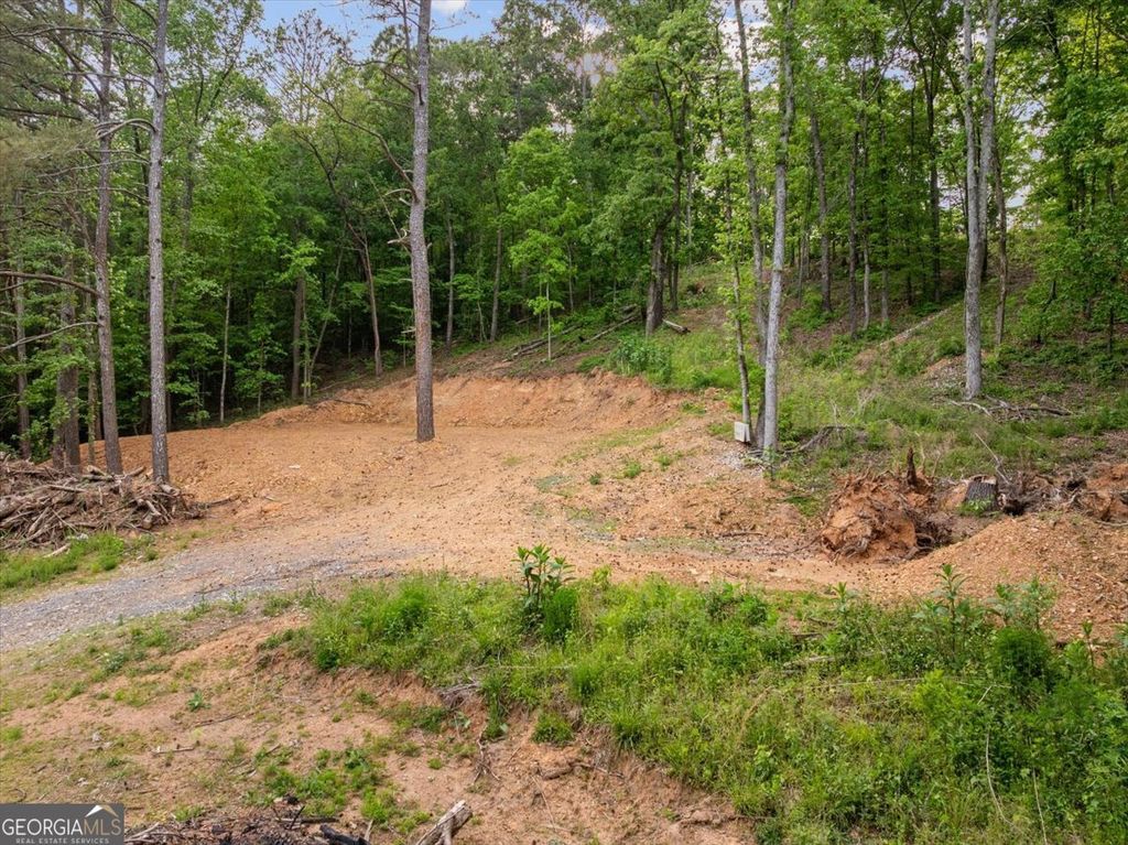 Photo of 307 Moores Ferry Road SW, Plainville, GA 30733 (MLS # 10753451)