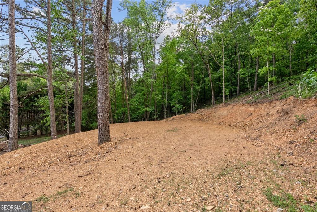 Photo of 307 Moores Ferry Road SW, Plainville, GA 30733 (MLS # 10753451)