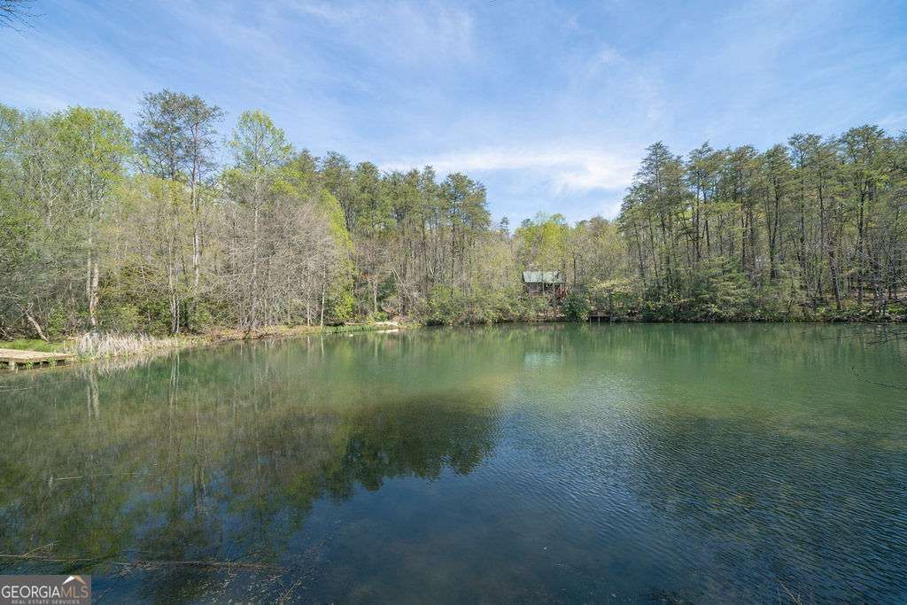 Photo of 94 Cherry Lake Court, Blue Ridge, GA 30513 (MLS # 10731473)