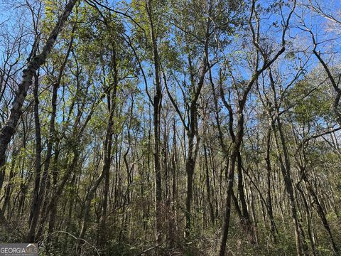 095 Mt Sinai Church RD Butler GA 31006