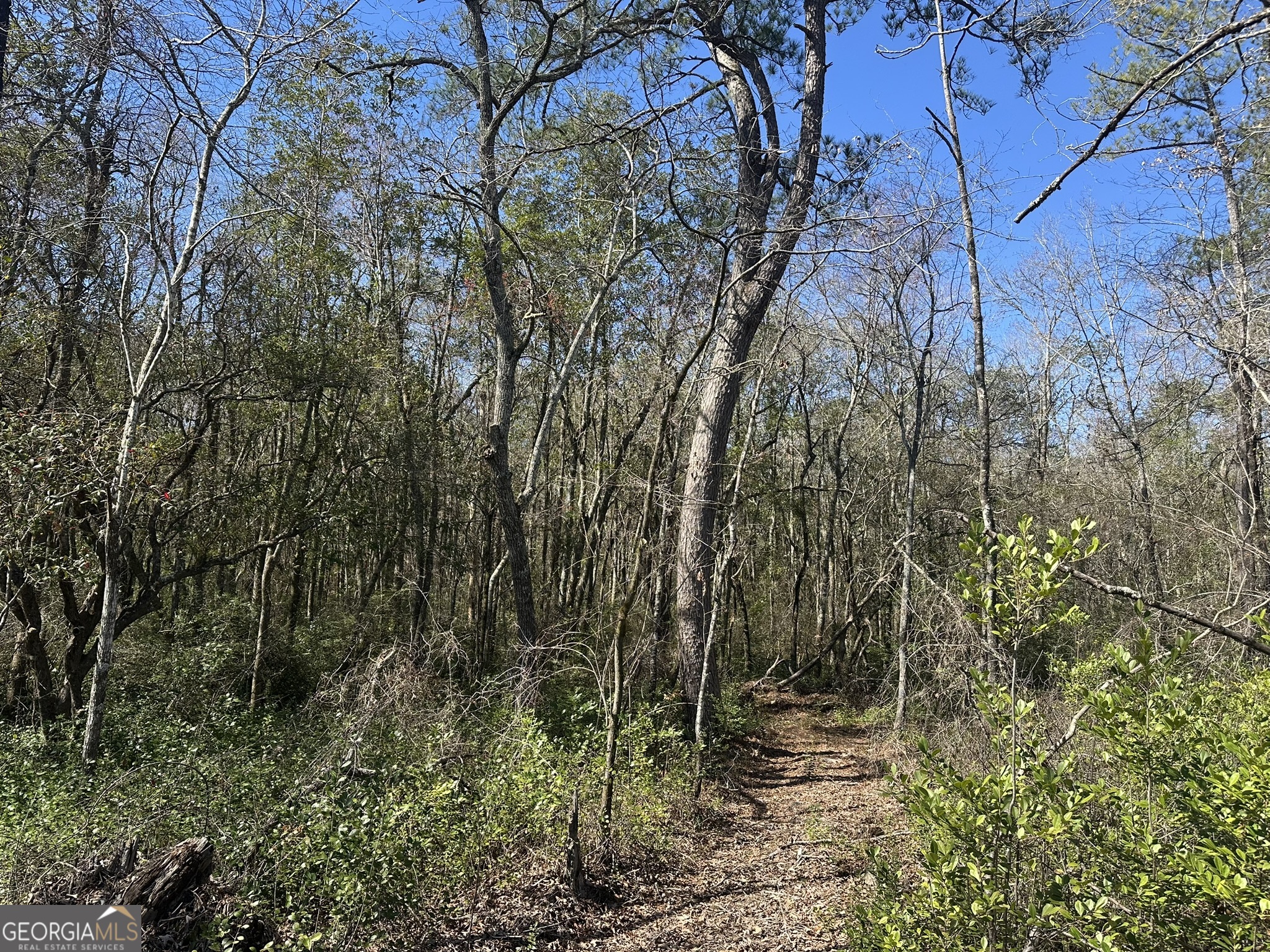 095 Mt Sinai Church RD