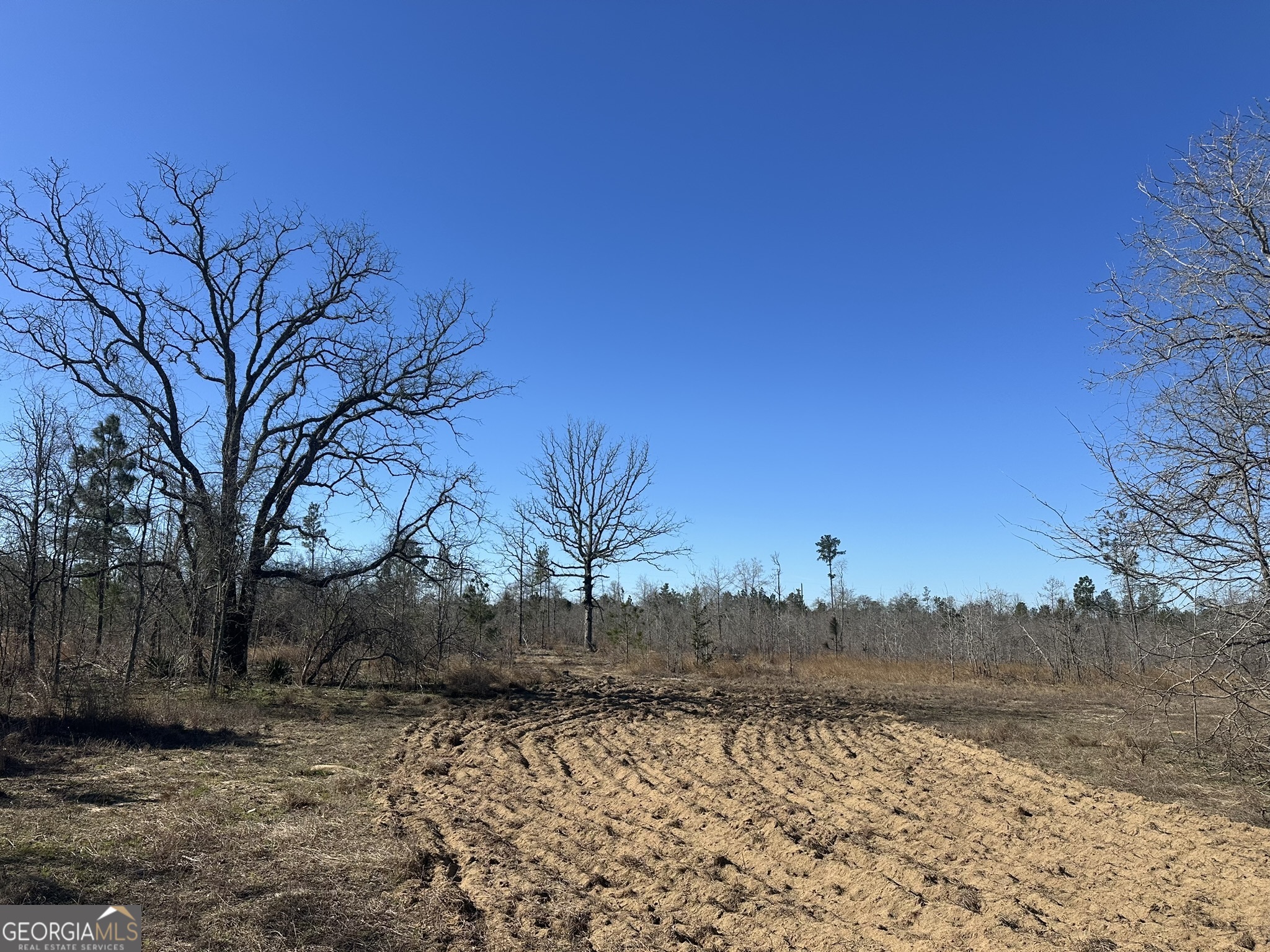 095 Mt Sinai Church RD