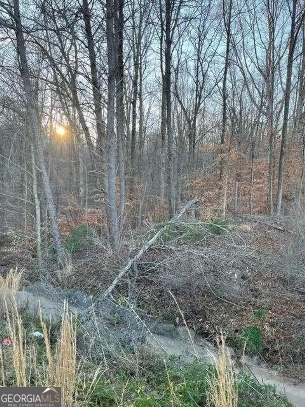 Photo of 2202 Jesse Jewell Parkway, Gainesville, GA 30507 (MLS # 10673733)