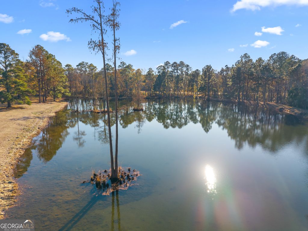 Photo of 20316 Us Highway 80 W, Statesboro, GA 30458 (MLS # 10659257)