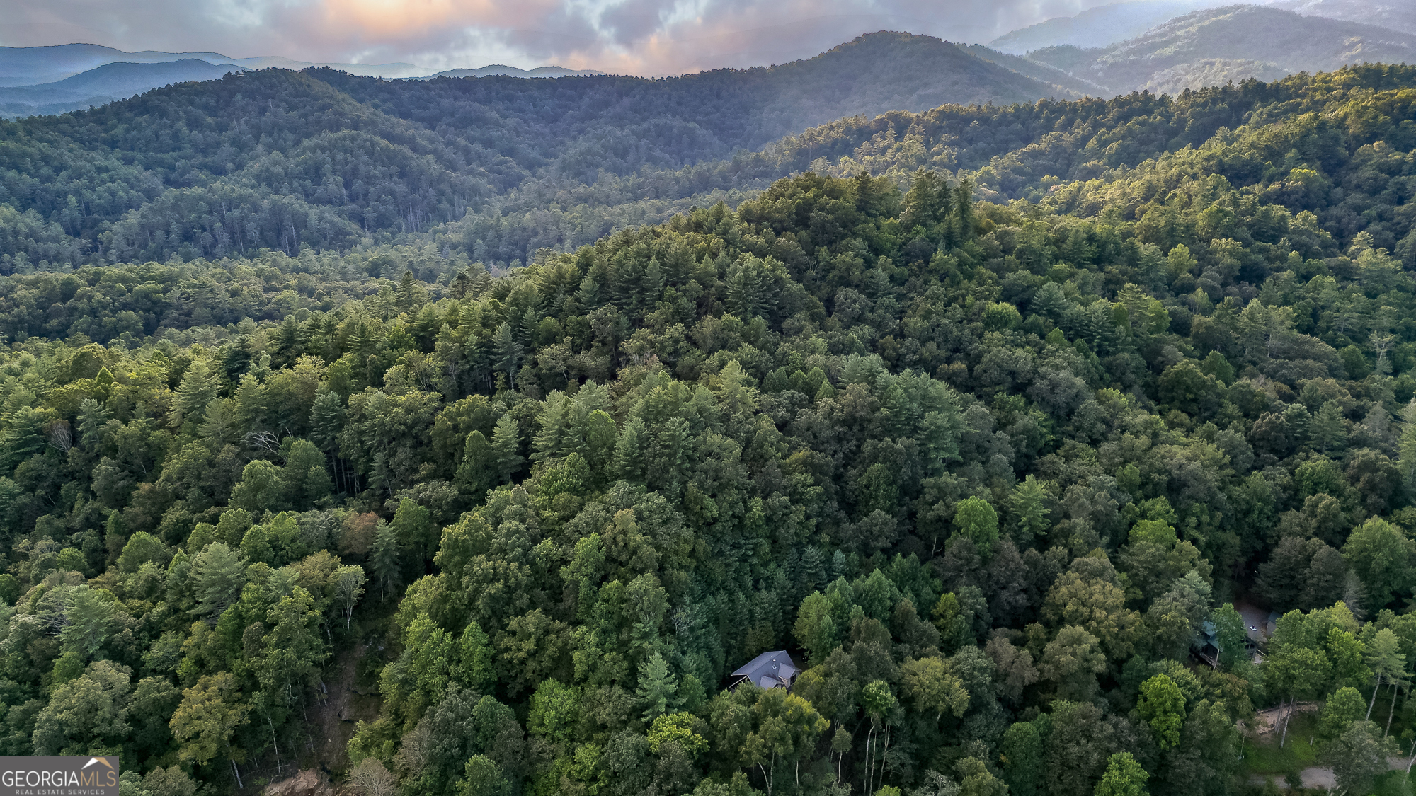 381 Cohutta Wilderness TRL