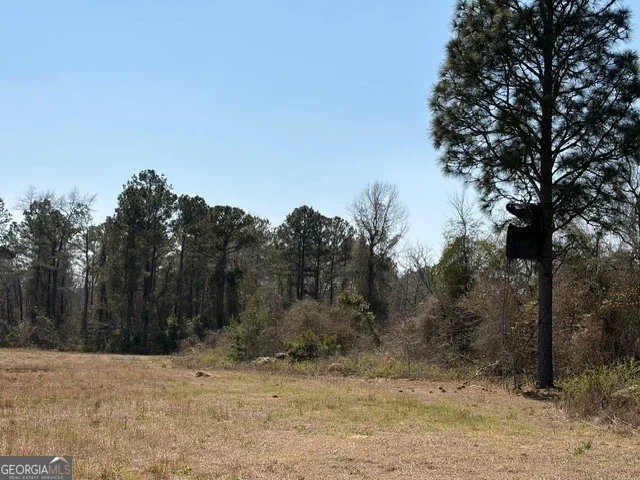 461 Currington Road, Mauk, GA, 31058